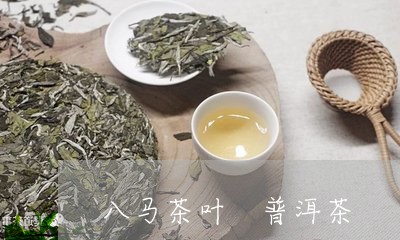 八马茶叶 普洱茶/2023040977071